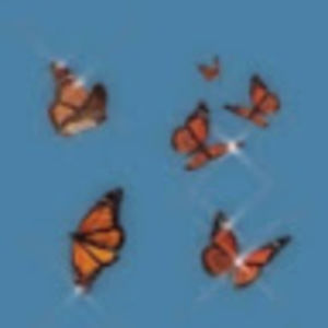 Meet your Posher, Naomi marie